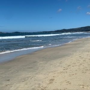 Meet your Posher, Bella